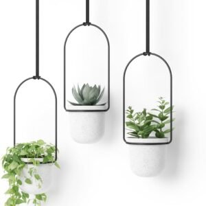 Umbra Trifloral Hanging Planter for Window